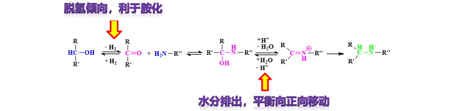 反应机理