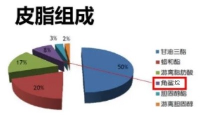 角鲨烷-皮肤成分-负载镍