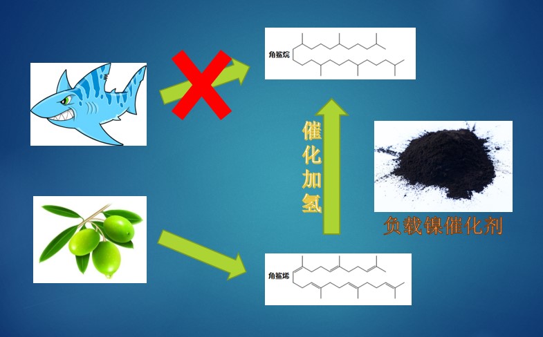 角鲨烷-保护鲨鱼-负载镍