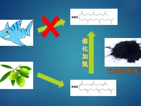 负载镍大作用之保护鲨鱼，留住你的美！——催化加氢合成角鲨烷