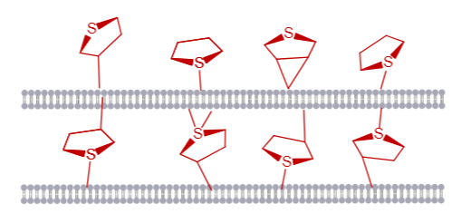 高精度脱硫技术