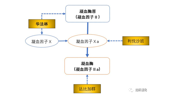 利伐沙班中间体：4-(4-氨基苯基)-3-吗啉酮的合成