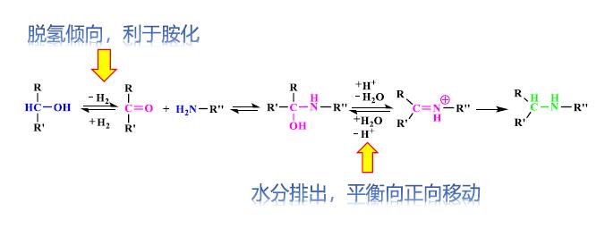 还原胺化反应