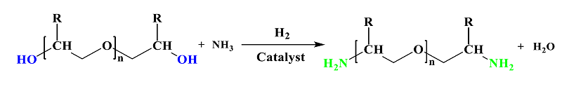 聚醚胺反应式