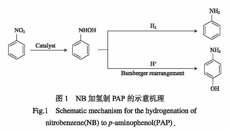 硝基苯催化加氢合成对氨基苯酚的研究进展1