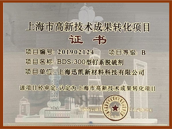 BDS-300型钌系脱硫剂上海市高新技术成果转化项目证书