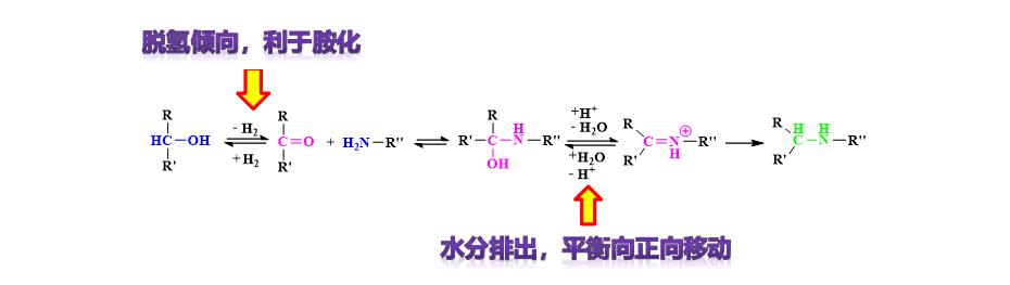 反应机理