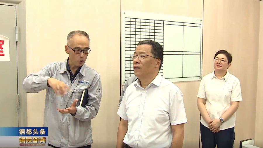 创新引领未来：市委书记丁纯亲临迅凯催化 共绘科技蓝图