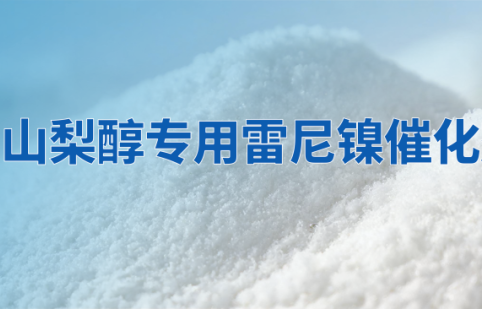迅凯推荐： 山梨醇专用雷尼镍催化剂