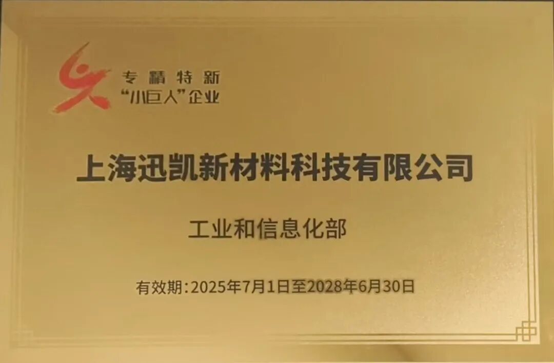 喜报 | 迅凯催化成功通过2025年国家级专精特新“小巨人”企业复审(图2)