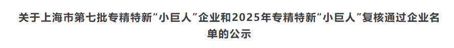 喜报 | 迅凯催化成功通过2025年国家级专精特新“小巨人”企业复审(图3)